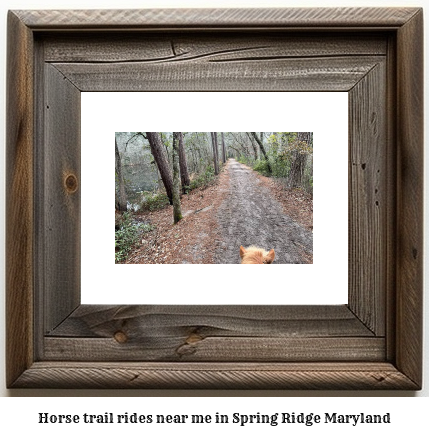 horse trail rides near me in Spring Ridge, Maryland